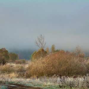 д.Кадницы Кстовского р-на Нижегородской обл.