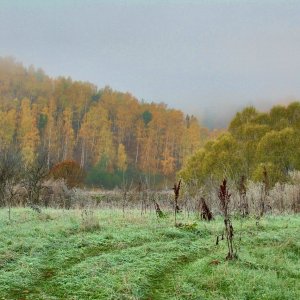 д.Кадницы Кстовского р-на Нижегородской обл.