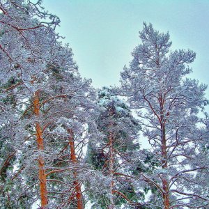 д.Кадницы Кстовского р-на Нижегородской обл.