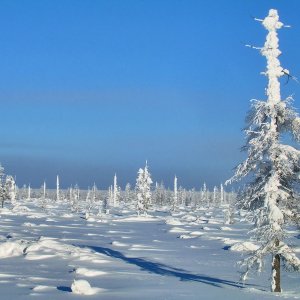 Алданский улус. Якутия