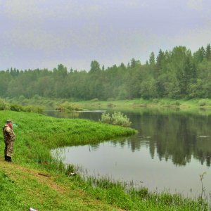 Новгородская обл. р.Молога