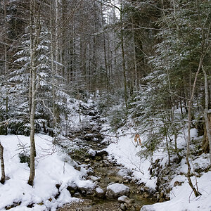 2018-02-18 Seefeld in Tirol.jpg