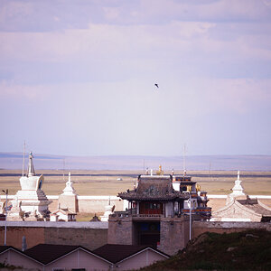 DSC01714.JPG