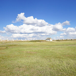 DSC09339.JPG