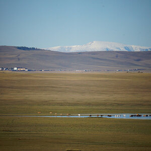 DSC01770 (4).jpg