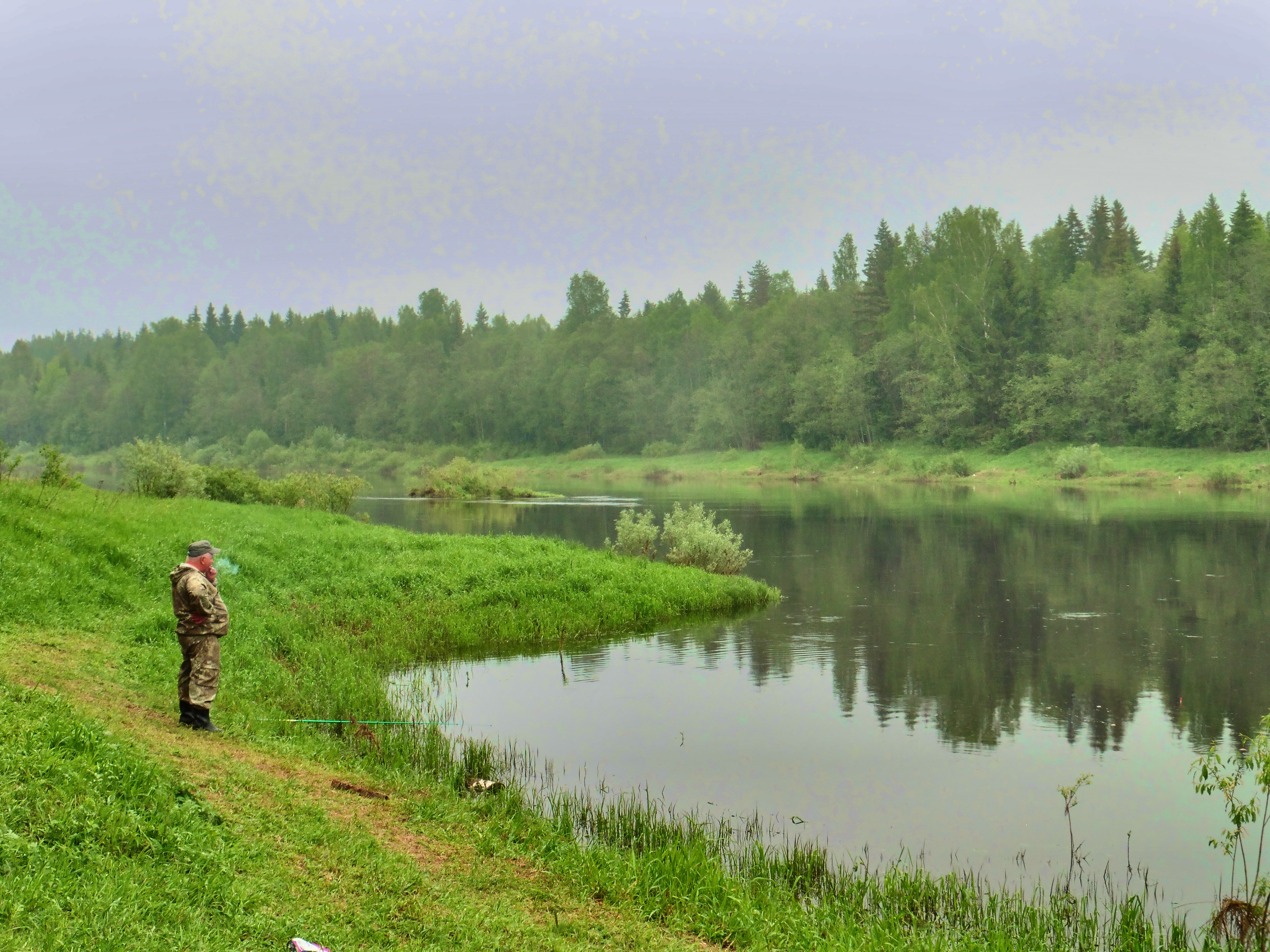 Новгородская обл. р.Молога