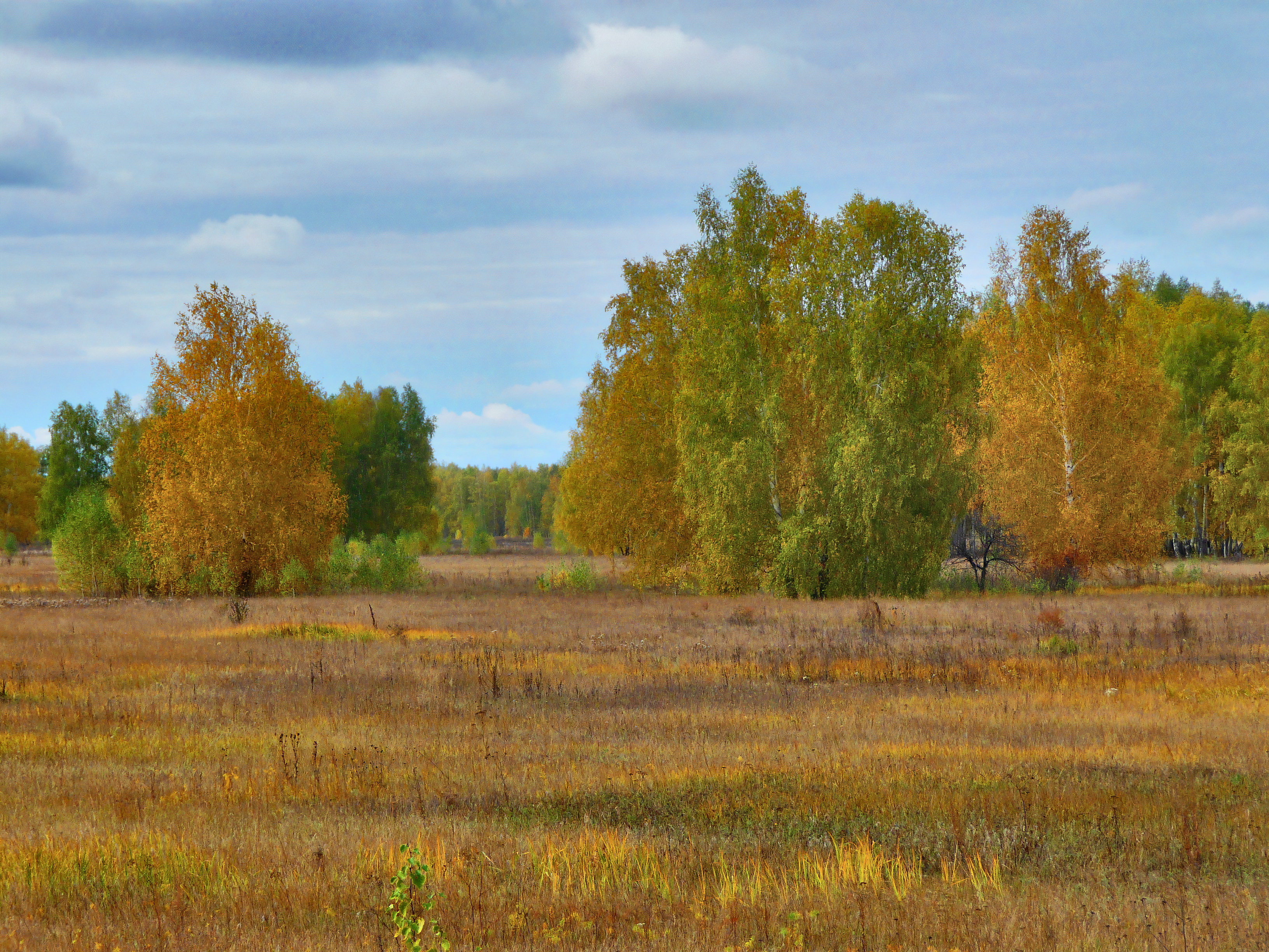 Омская область