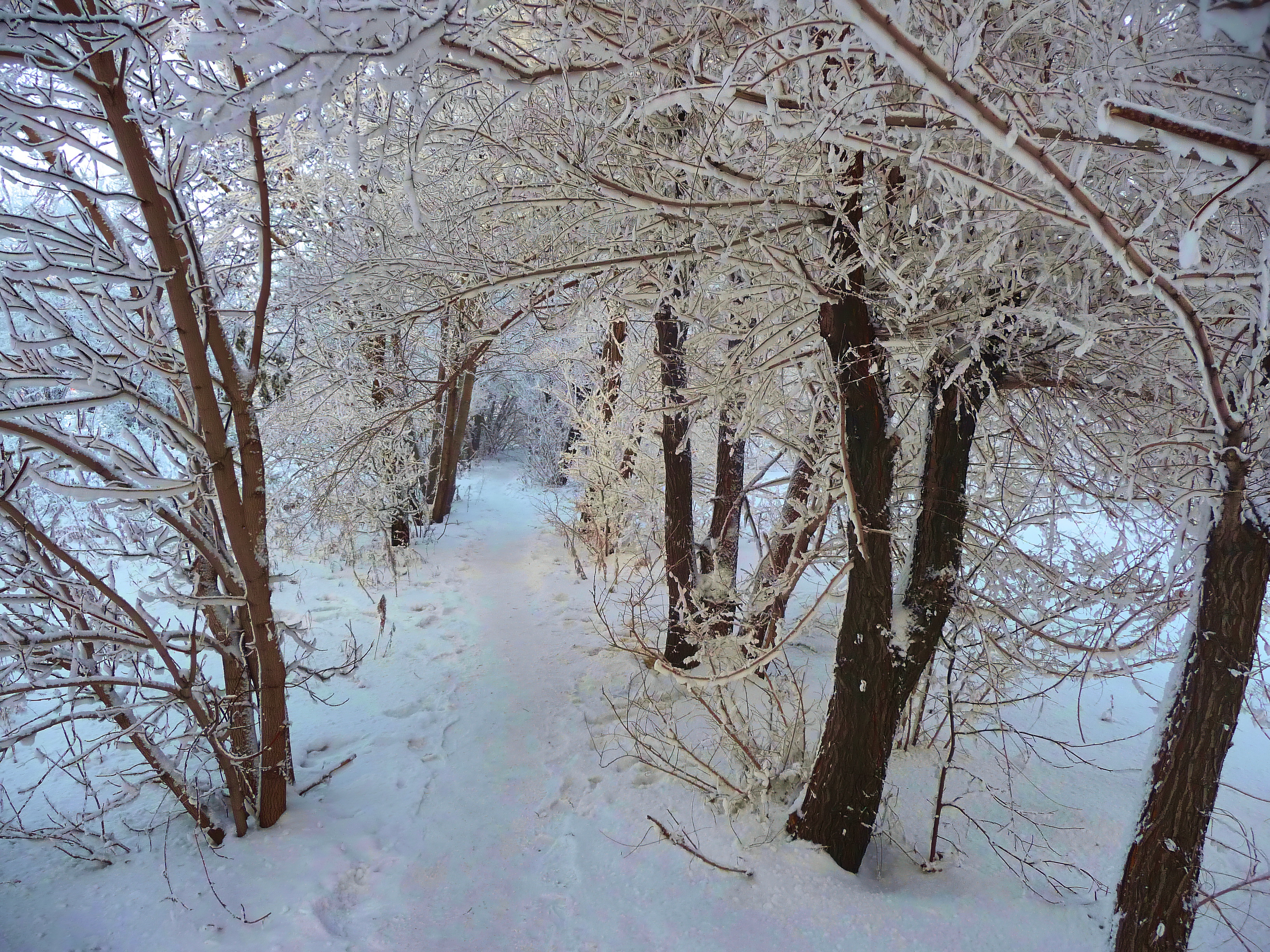 Омск. Зима.