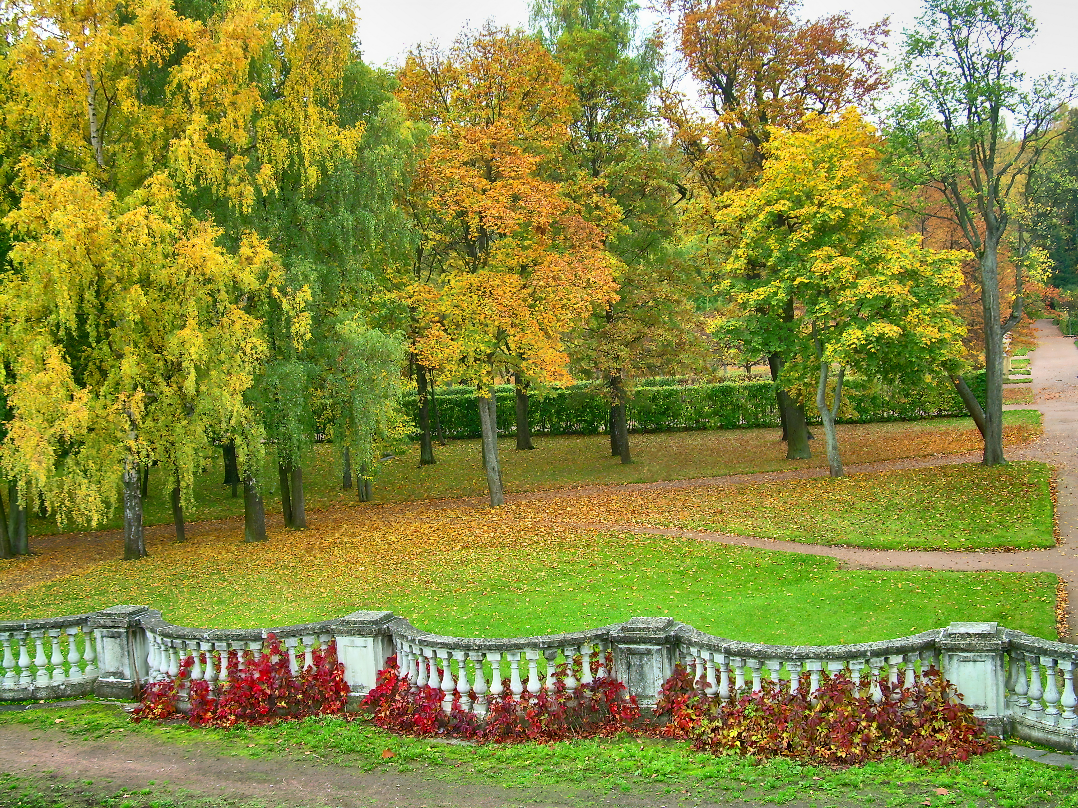 Петергоф