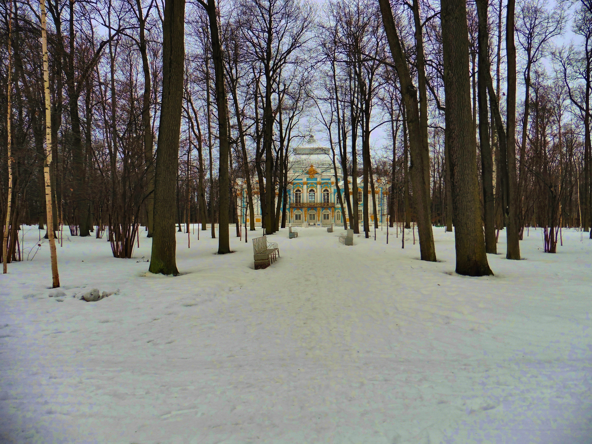 Царское село. Зима.