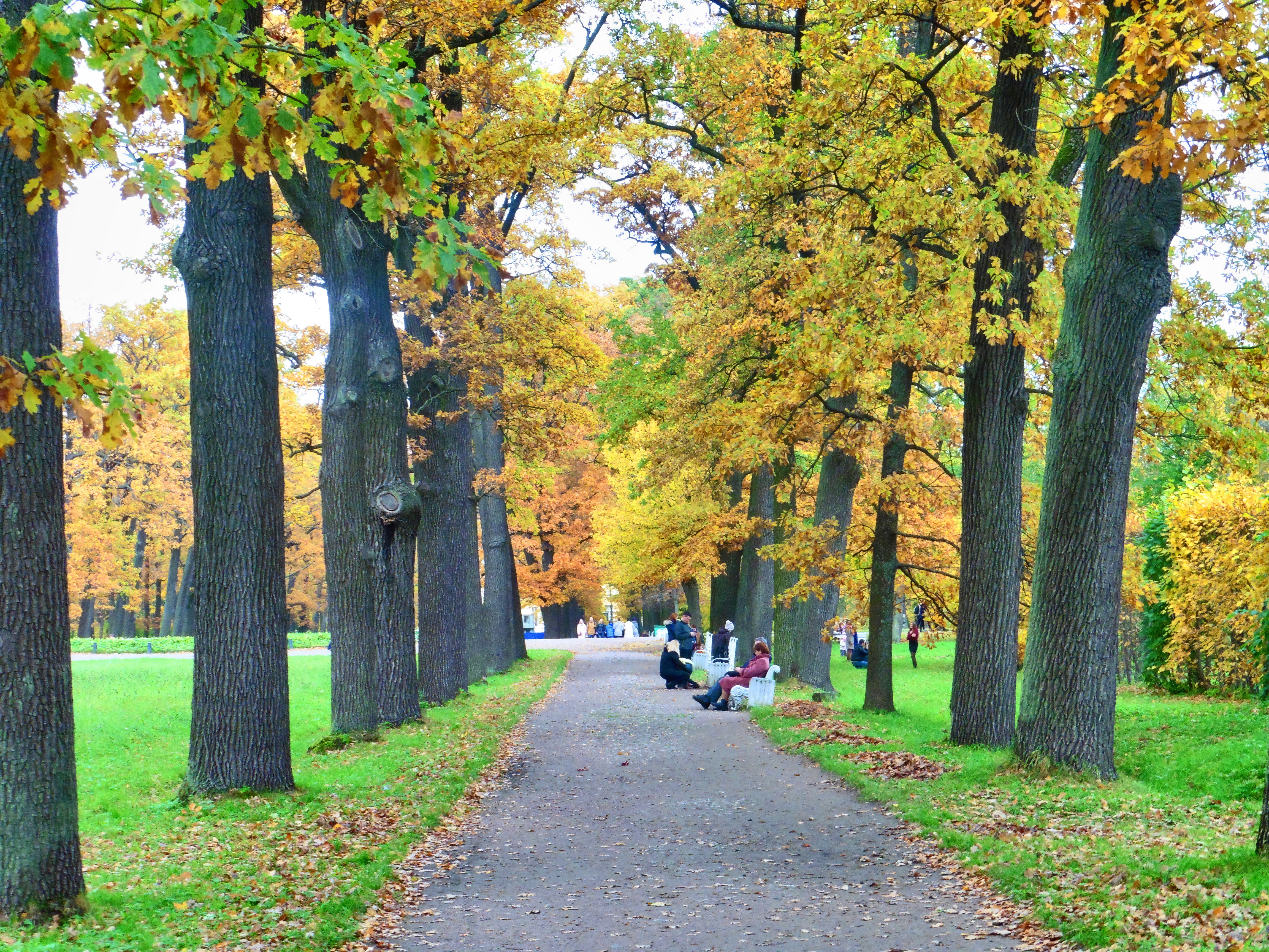 Царское село