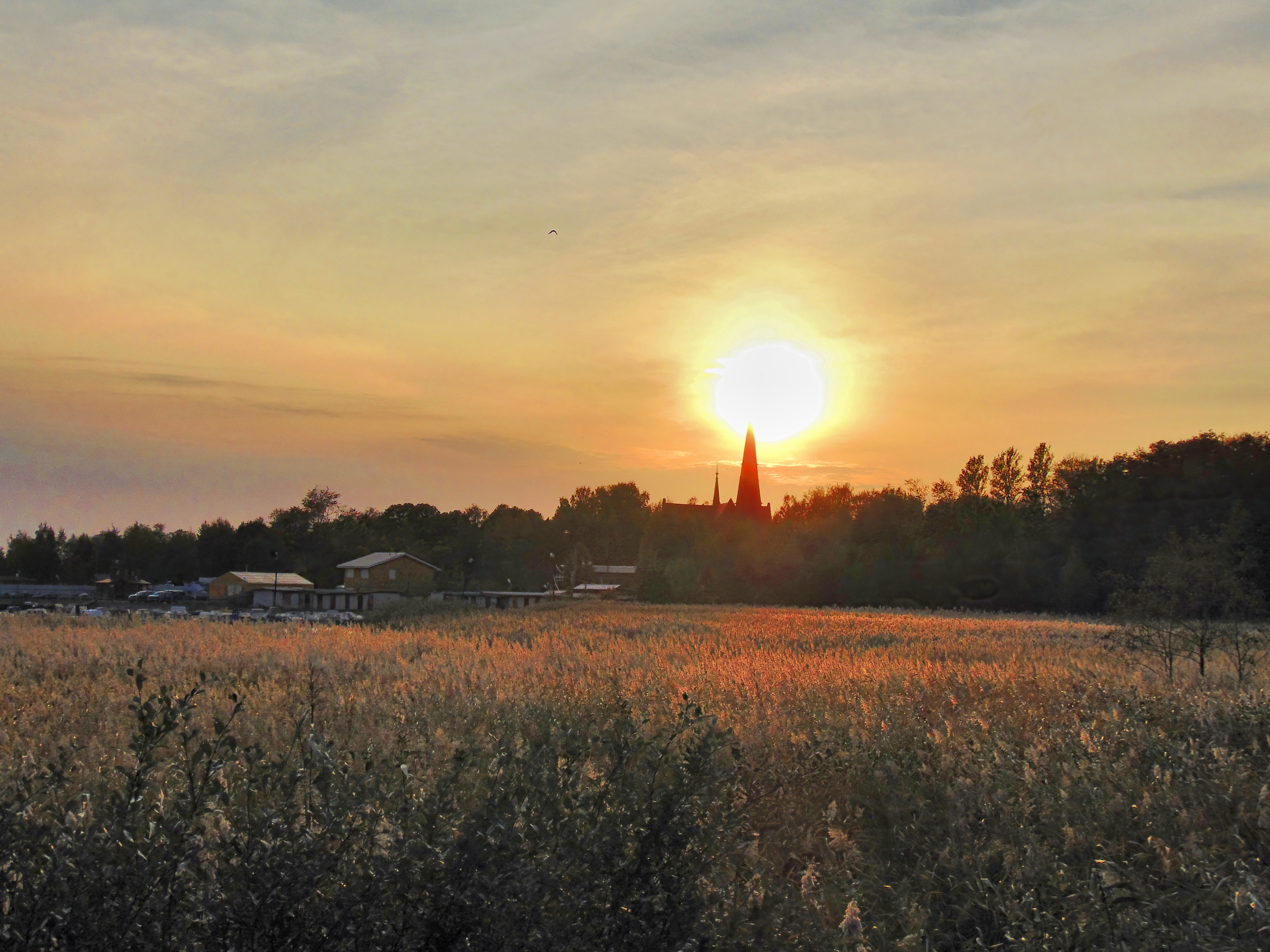 г.Приморск (Койвисто), Ленобласть