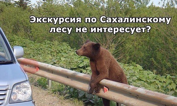 -1iC9qe9p4w.jpg