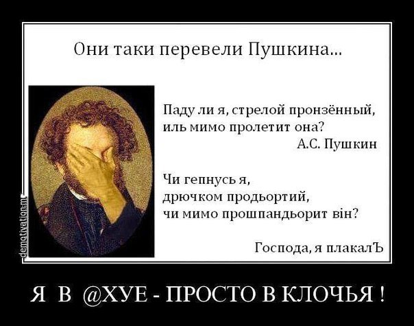147888040313721595.jpg