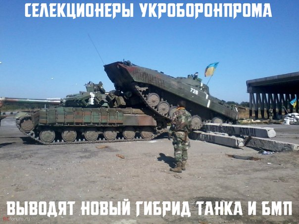 KLYdQ_8w4GI.jpg