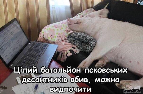 Cq_r07akkx8.jpg