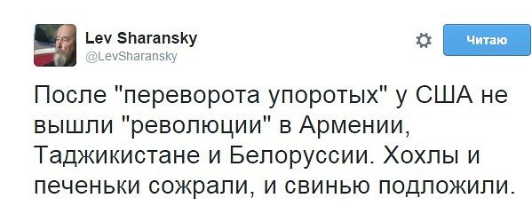 svetoch.1444749113.jpg