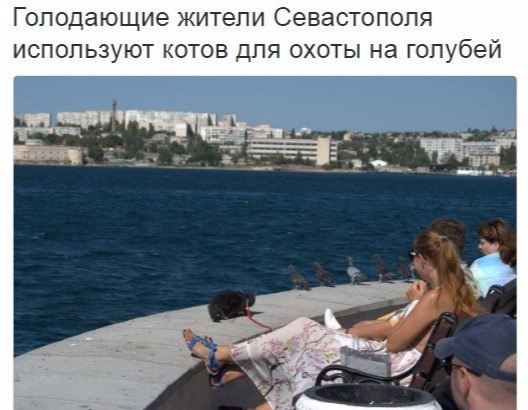 iyZ3VN1F7HU.jpg