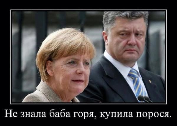 porosja_xotekdikdjs.jpg