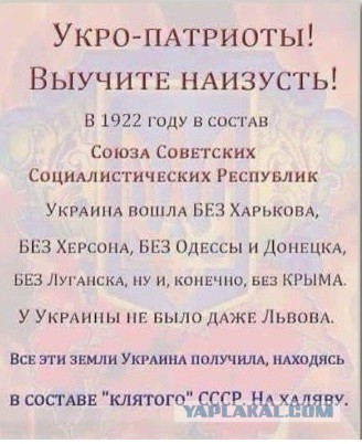 6475074.jpg