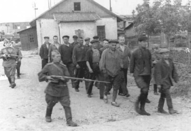 russian7.ru