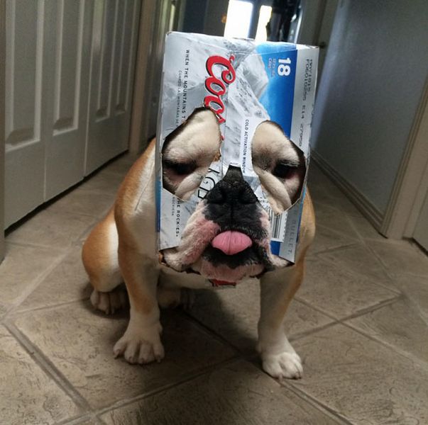 acid_picdump_77.jpg