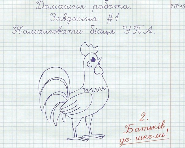 Kalv9n3xWhs.jpg