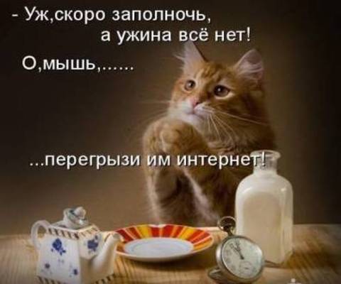 qCRmBvC6_u4.jpg