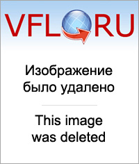 8773568_m.jpg