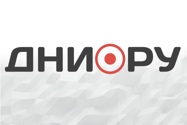 dni.ru